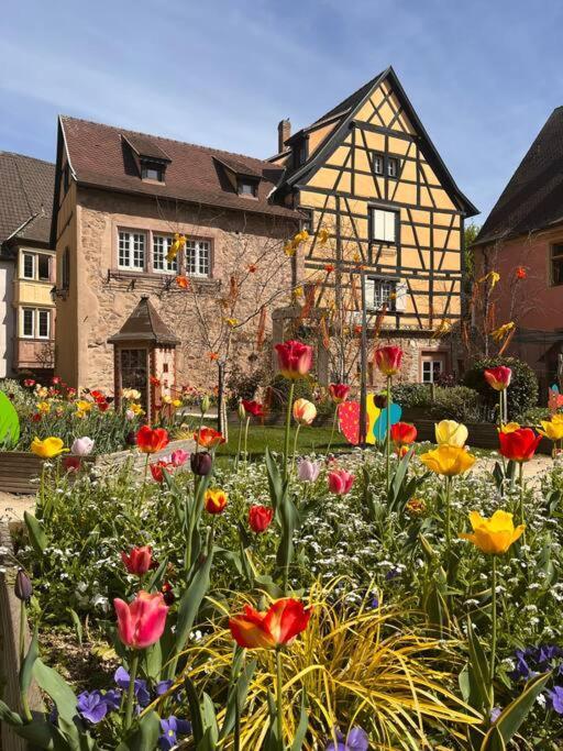 La Douce Escale Apartamento Turckheim Exterior foto
